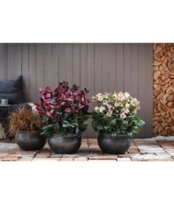 Dehner Keramik-Topf Bavaria, Bauchig -Gardena Store 167510 167544 167643 WE MO 004 KeramikPflanztopfBavariaglasiert