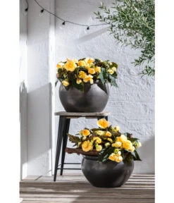 Dehner Keramik-Topf Bavaria, Bauchig -Gardena Store 167510 167544 167643 WE MO 005 KeramikPflanztopfBavariaglasiert