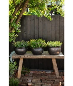 Dehner Keramik-Topf Bavaria, Bauchig -Gardena Store 167510 167544 167643 WE MO 006 KeramikPflanztopfBavariaglasiert