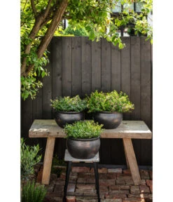 Dehner Keramik-Topf Bavaria, Bauchig -Gardena Store 167510 167544 167643 WE MO 007 KeramikPflanztopfBavariaglasiert