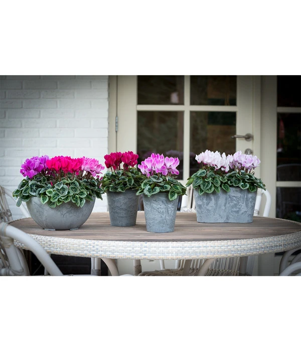 Artstone Kunststoff-Balkonkasten Claire 4 Artstone Kunststoff-Balkonkasten Claire – Bild 2