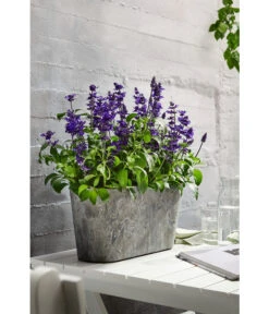 Artstone Kunststoff-Balkonkasten Claire 14 Artstone Kunststoff-Balkonkasten Claire -Gardena Store 1676006 WE MO 006 ArtstoneKunststoffKastenClaire