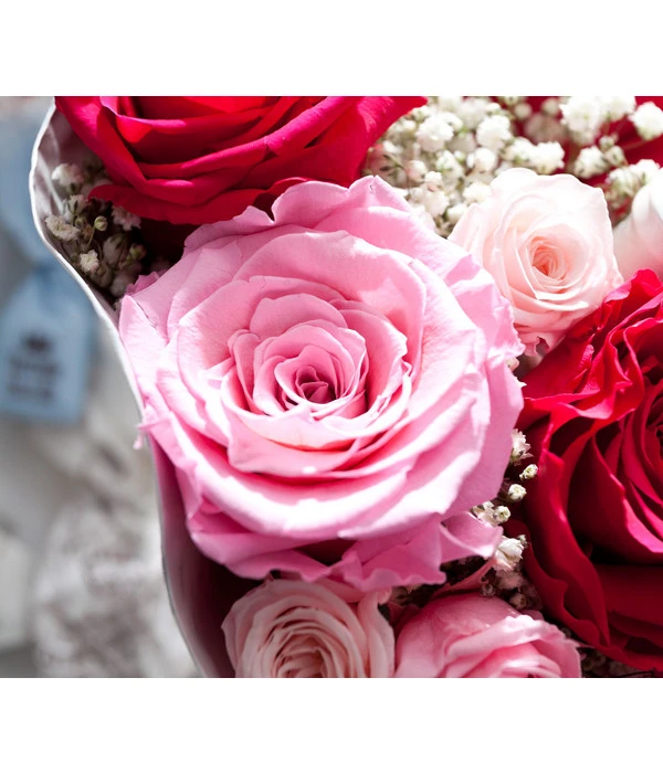 Longlife-Rose, Ca. Ø6 Cm 7 Longlife-Rose, Ca. Ø6 Cm – Bild 5