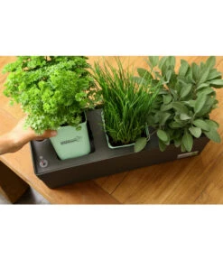 GREENBAR® Kräuterkasten, Ca. B48/H15,5/T16 Cm -Gardena Store 20150713 338 greenbar steps 4 studio herzig