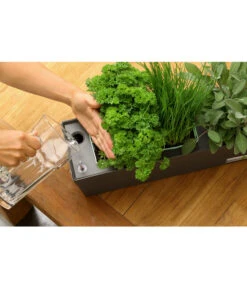 GREENBAR® Ersatzvlies, 3er-Pack -Gardena Store 20150713 347 greenbar steps 5 studio herzig 1