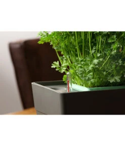 GREENBAR® Kräuterkasten, Ca. B48/H15,5/T16 Cm -Gardena Store 20150713 350 greenbar fuellanzeiger studio herzig