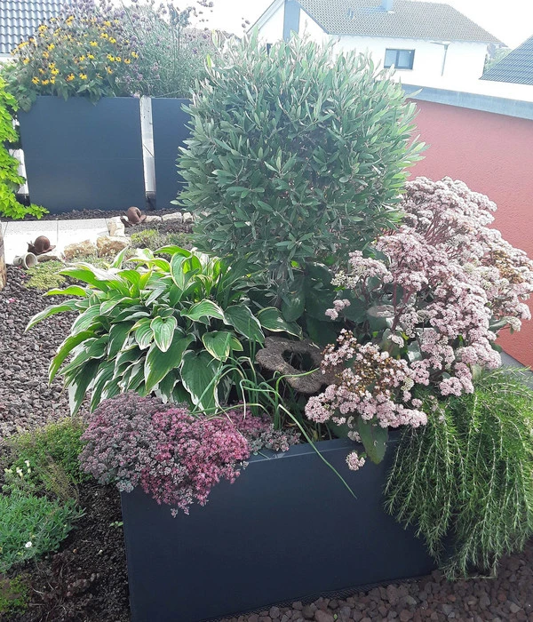 Palatino Metall-Pflanzgefäß Lotte 4 Palatino Metall-Pflanzgefäß Lotte – Bild 2