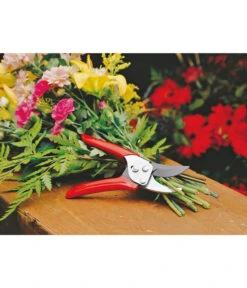 Wolf-Garten Wolf Gartenschere RR-EN -Gardena Store 239038 MO 002 GARTENSCHERERREN