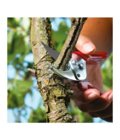 Wolf-Garten Wolf Gartenschere RR-EN -Gardena Store 239038 MO 004 GARTENSCHERERREN