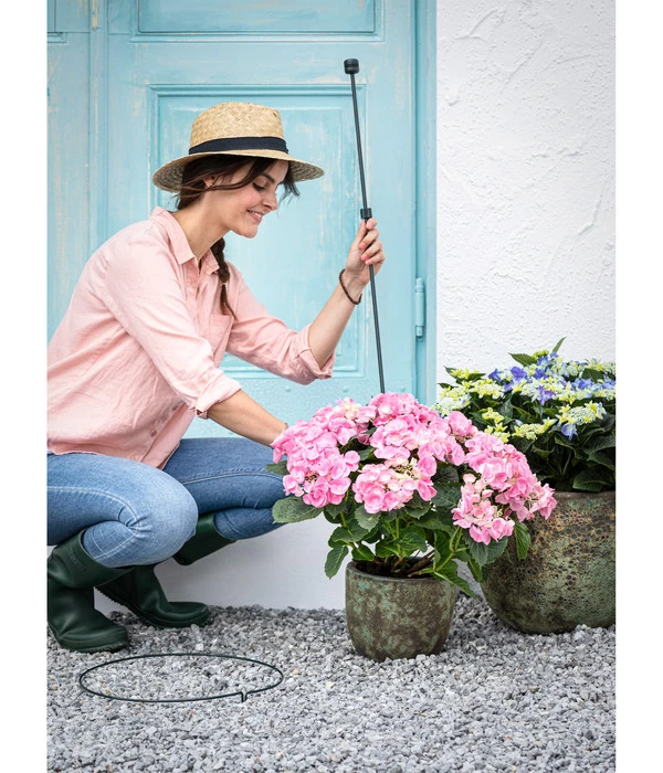 Dehner Stahl-Bodenstab Standard 6 Dehner Stahl-Bodenstab Standard – Bild 4