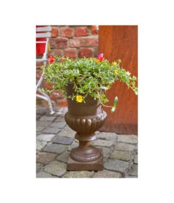 Esschert Design Französische Pflanzvase Aus Gusseisen, Dunkelbraun -Gardena Store 2542637 WE MO 003 FranzoesischeVaseausGusseisenrostfarbenVaseBlumenvaseTopfBlumentopfPflanzvasePflanztopfPflanzgefaess