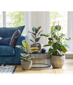 Dehner Keramik-Übertopf Kenia, Konisch, Braun 9 Dehner Keramik-Übertopf Kenia, Konisch, Braun -Gardena Store 2906469 WE MO 001 TopfKeniaBraun