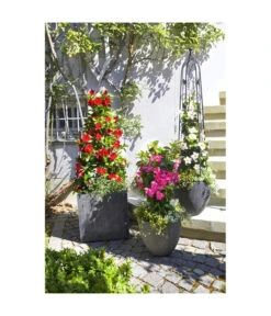 Dehner Polystone-Topf Brisbane In Riffeloptik, Rund -Gardena Store 3158847 3158870 3158888 3158995 3159092 3159126 WE MO 004 PolystoneTopfinRiffeloptikrundsand