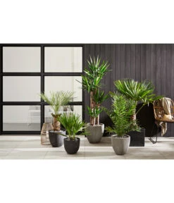 Dehner Polystone-Topf Brisbane In Riffeloptik, Rund -Gardena Store 3158847 3158870 3158888 WE MO 002 PolystoneTopfinRiffeloptikrundsand