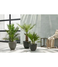 Dehner Polystone-Topf Brisbane In Riffeloptik, Rund -Gardena Store 3158847 3158870 3158888 WE MO 003 PolystoneTopfinRiffeloptikrundsand