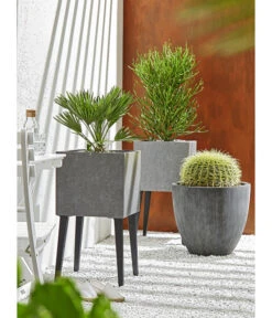 Dehner Polystone-Topf Brisbane In Riffeloptik, Rund -Gardena Store 3158847 3158870 3158888 WE MO 005 PolystoneTopfinRiffeloptik