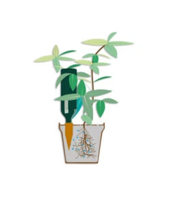 Bio Green Tonkegel Hydro Wine -Gardena Store 3207032 WE DE 001 BioGreenTonkegelHydroWineUrlaubsbewaesserung