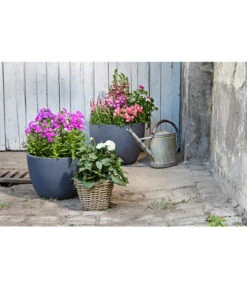 Dehner Leichtbeton-Pflanztopf Manchester, Rund, Antik-schwarz -Gardena Store 3337151 3337169 3337136 3337144 WE MO 003 DehnerLeichtbetonPflanztopfantikschwarz