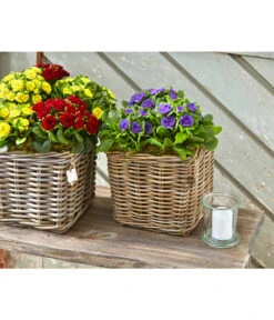 Van Der Leeden Rattan-Topf, Eckig, Grau-braun -Gardena Store 3528668 3529468 3529930 WE MO 002 RattanTopfeckiggraubraun