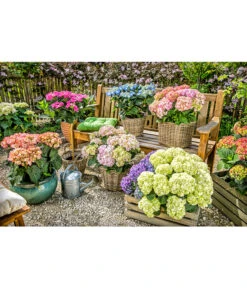 Van Der Leeden Rattan-Topf, Eckig, Grau-braun -Gardena Store 3528668 3529468 3529930 WE MO 005 RattanTopfeckiggraubraunBlumentopf