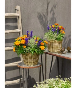 Van Der Leeden Rattan-Topf, Eckig, Grau-braun -Gardena Store 3528668 3529468 3529930 WE MO 006 RattanTopfeckig