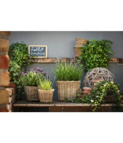 Van Der Leeden Rattan-Topf, Eckig, Grau-braun -Gardena Store 3528668 3529468 3529930 WE MO 007 RattanTopfeckig