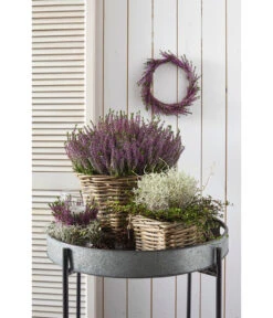 Van Der Leeden Rattan-Topf, Eckig, Grau-braun -Gardena Store 3528668 3529468 3529930 WE MO 009 RattanTopfeckig