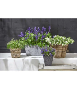 Artstone Kunststoff-Balkonkasten Claire 13 Artstone Kunststoff-Balkonkasten Claire -Gardena Store 3679347 5369905 1676006 WE MO 001 RattantopfArtstoneKunststoffTopfKastenClaire