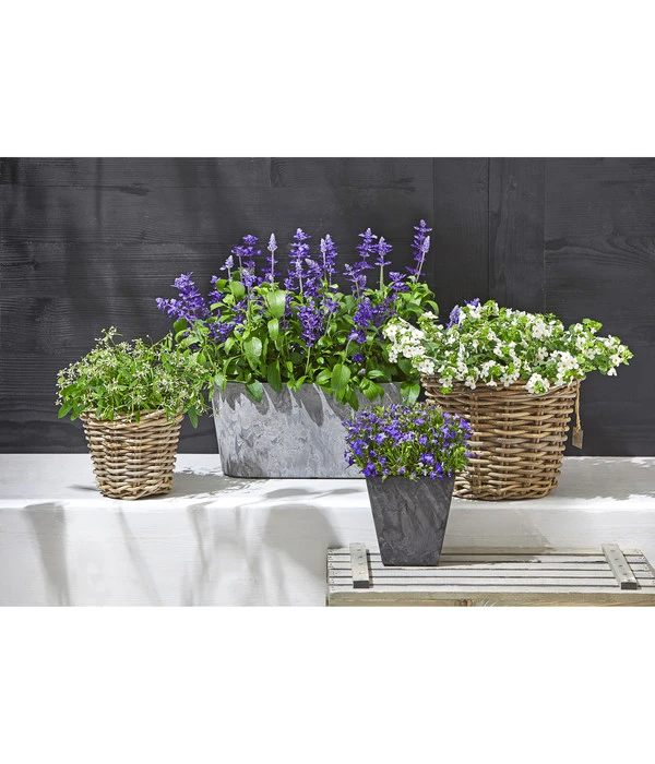 Artstone Kunststoff-Balkonkasten Claire 7 Artstone Kunststoff-Balkonkasten Claire – Bild 5