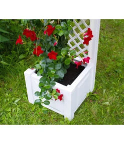 KHW Kunststoff-Pflanzkasten Mit Spalier, 43 X 43 X 140 Cm -Gardena Store 3913688 WE DE 004 KastenSpalier43weiss