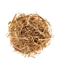 Pilzmännchen Bio Pilzzuchtset Austernpilz 6 Pilzmännchen Bio Pilzzuchtset Austernpilz -Gardena Store 3940285 BildD 001 PilzmaennchenBioHomePilzzuchtsetAusternpilzPilzbrutAusternpilzSet