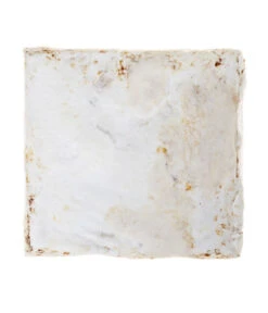 Pilzmännchen Bio Pilzzuchtset Austernpilz 7 Pilzmännchen Bio Pilzzuchtset Austernpilz -Gardena Store 3940285 BildD 002 PilzmaennchenBioHomePilzzuchtsetAusternpilzPilzbrutAusternpilzSet