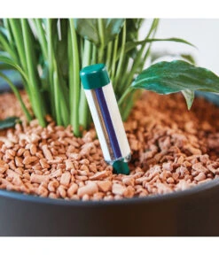 Seramis Gießanzeiger -Gardena Store 394684 WE MO 004 SeramisGiessanzeiger 394692