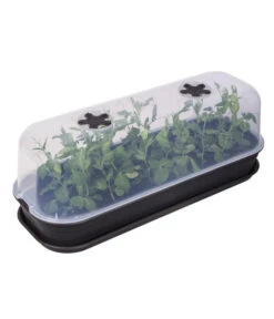 Elho Anzuchthaube L -Gardena Store 4026704 WE FS 002 ElhoAnzuchthaubeAnzuchthausTransparent