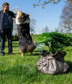 Roto Kunststoff-Pflanztopf Tasche, Grau, Ca. B58/H30/T49 Cm 5 Roto Kunststoff-Pflanztopf Tasche, Grau, Ca. B58/H30/T49 Cm -Gardena Store 4147971 WE MO 001 RotoTopfTasche