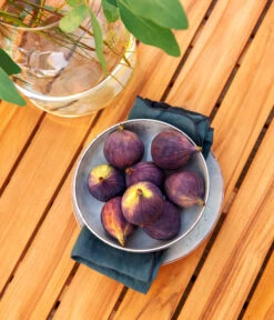 Dehner Aluminium-Lounge Malibu, 2-teilig 19 Dehner Aluminium-Lounge Malibu, 2-teilig -Gardena Store 4209870 WE DE 006 LoungeMalibuNEU