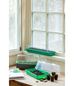 Romberg Zimmergewächshaus 7 Romberg Zimmergewächshaus -Gardena Store 4299970 WE MO 004 BoQubeZimmergewaechshaus