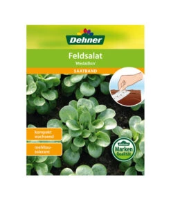 Dehner Samen-Set Easy Going -Gardena Store 4322590 WE FS 005 DehnerSamenSaatgutSaemereienSetEasyGoing