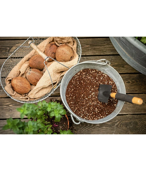 LECHUZA® VEGGIEPON Gemüsepflanzsubstrat 7 LECHUZA® VEGGIEPON Gemüsepflanzsubstrat – Bild 5