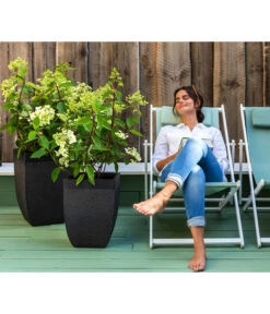 Dehner Strandstuhl Aruba 10 Dehner Strandstuhl Aruba -Gardena Store 4418422 WE MO 002 StrandstuhlArubaNeu