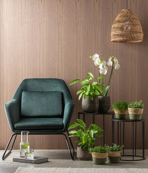 Dehner Keramik-Übertopf Elias, Bauchig, Braun 4 Dehner Keramik-Übertopf Elias, Bauchig, Braun – Bild 2