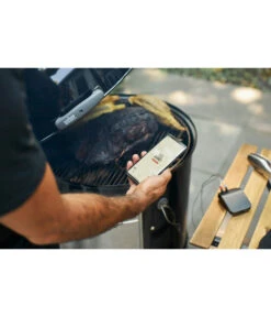 Weber Thermometer Connect Smart Grilling Hub 28 Weber Thermometer Connect Smart Grilling Hub -Gardena Store 4469391 WE MO 005 CONNECT SMART GRILL HUB