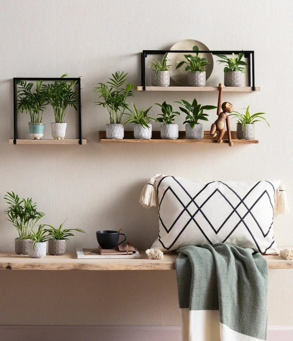 Dehner Keramik-Übertopf Elian, Rund, Ca. Ø8 Cm 4 Dehner Keramik-Übertopf Elian, Rund, Ca. Ø8 Cm – Bild 2