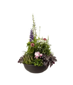 Vasar Kunststoff-Schale Aurora, Rund, Terrakotta -Gardena Store 5187752 BildFS 001 KunststoffschaleAuroraBraunBepflanztHerbstGross