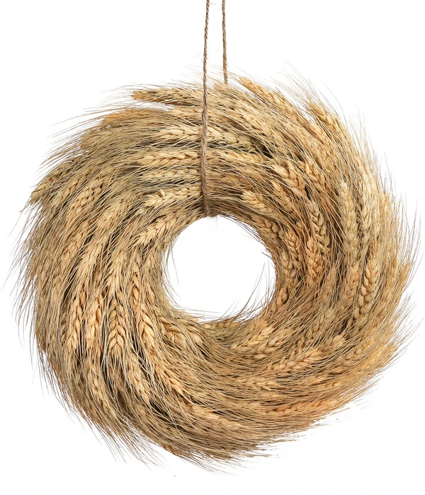 Dehner Türkranz Weizen 3 Dehner Türkranz Weizen