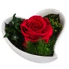 Dehner Herzschale Mit Longlife-Rose Lena, Ca. B12/H8 Cm 2 Dehner Herzschale Mit Longlife-Rose Lena, Ca. B12/H8 Cm -Gardena Store 6380901 WE FS 004 LLHerzLenaROT