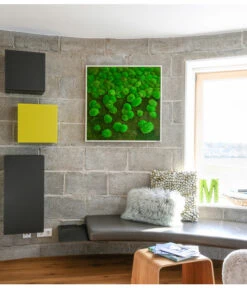 StyleGREEN Bild Aus Wald- Und Kugelmoos Im Verlauf, Ca. B80/H80/T7 Cm -Gardena Store 6429807 WE MO 001 Wald KugelmoosbildVerlauf80x80cm