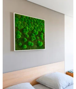 StyleGREEN Bild Aus Wald- Und Kugelmoos Im Verlauf, Ca. B80/H80/T7 Cm -Gardena Store 6429807 WE MO 002 Wald KugelmoosbildVerlauf80x80cm