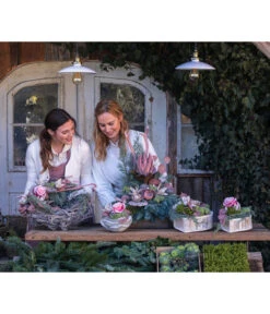 Grabgesteck Im Himmel, Rund, Ca. Ø20/H20 Cm 8 Grabgesteck Im Himmel, Rund, Ca. Ø20/H20 Cm -Gardena Store 6462816 6462808 WE MO 001 SerieImHimmel Allerheiligen2023