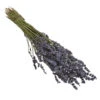Trockenblumenbund Lavendel -Gardena Store 6491682 PR FS 001 LavendeltiefblauBund DehnerExpressHerzig